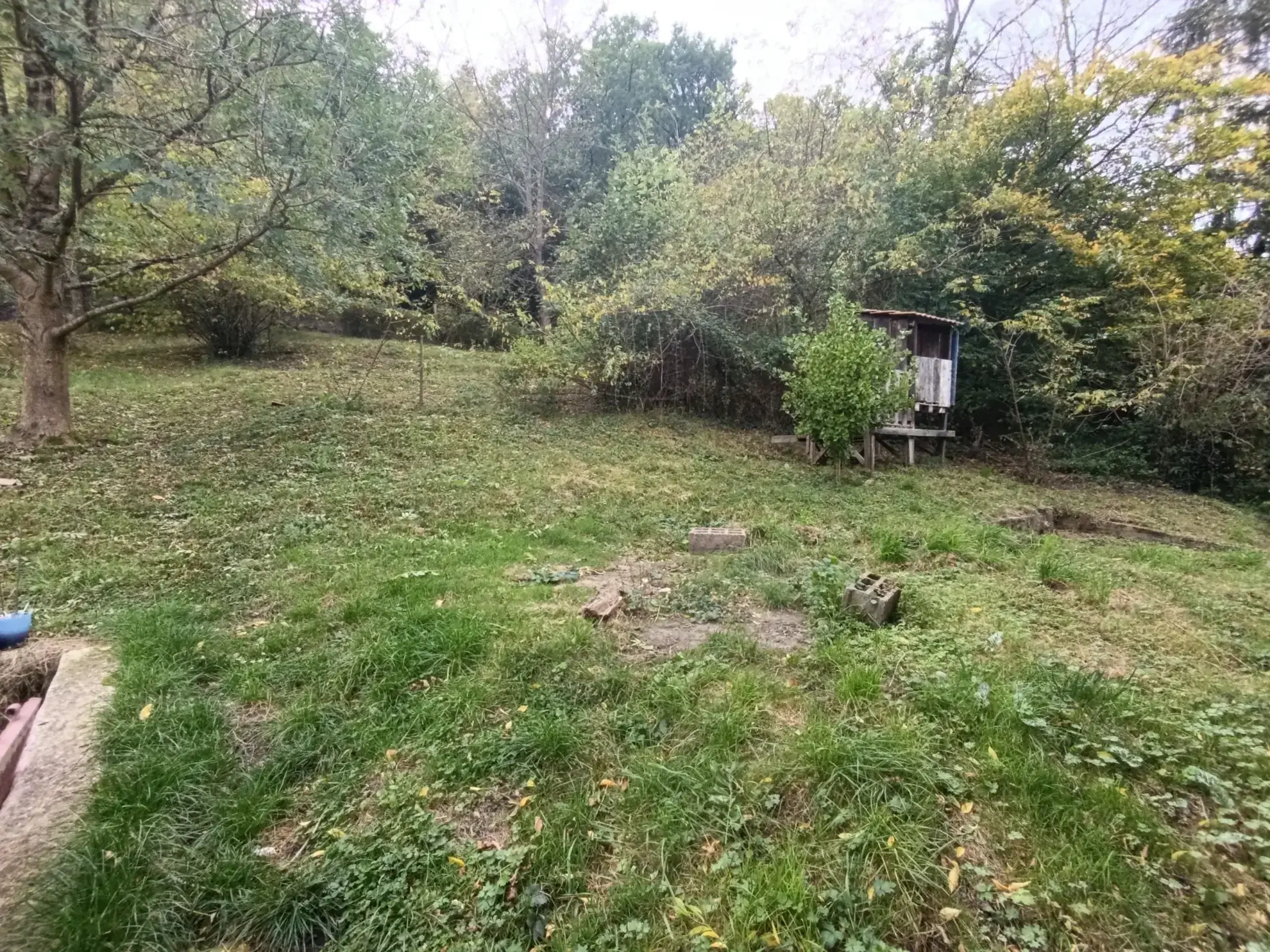 Charmante maison de bourg avec jardin et 5 chambres à Chateldon 