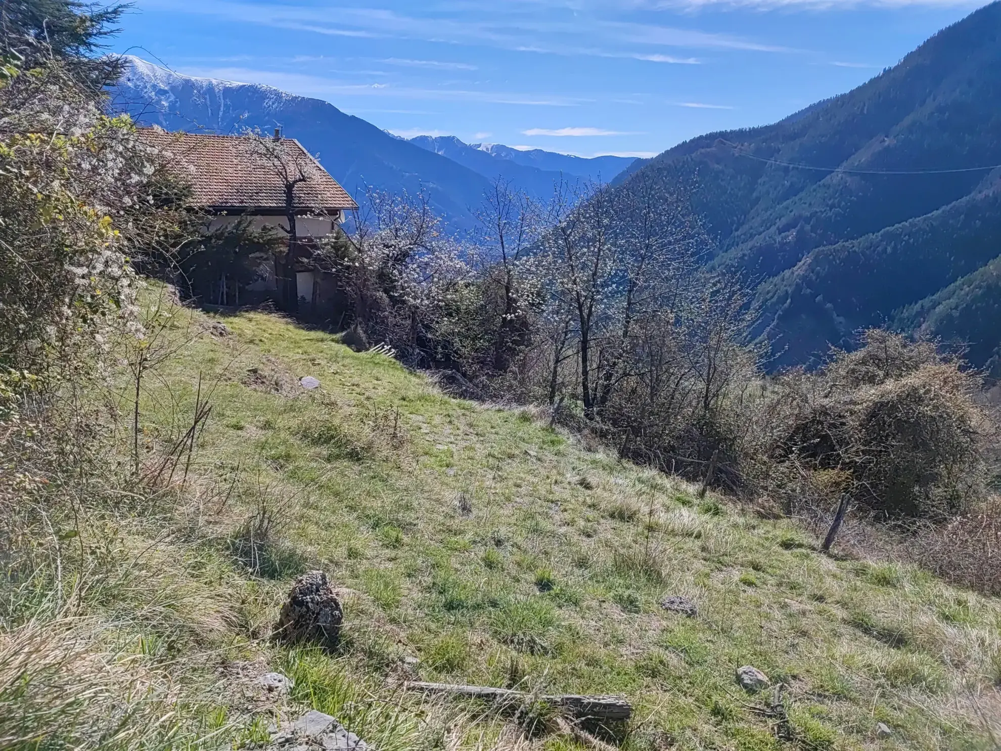 Terrain Constructible avec Vue Panoramique à Venanson à vendre 