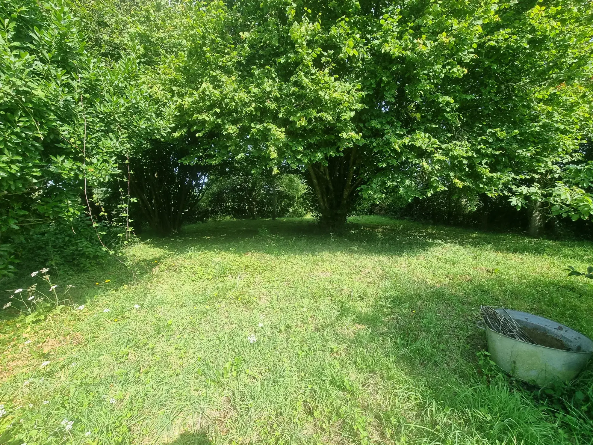 Maison de campagne de 140 m² avec terrain de 40 000 m² à vendre 