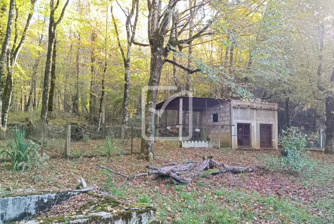 Maison à restaurer à vendre dans un hameau de Coulaures avec granges et parc 