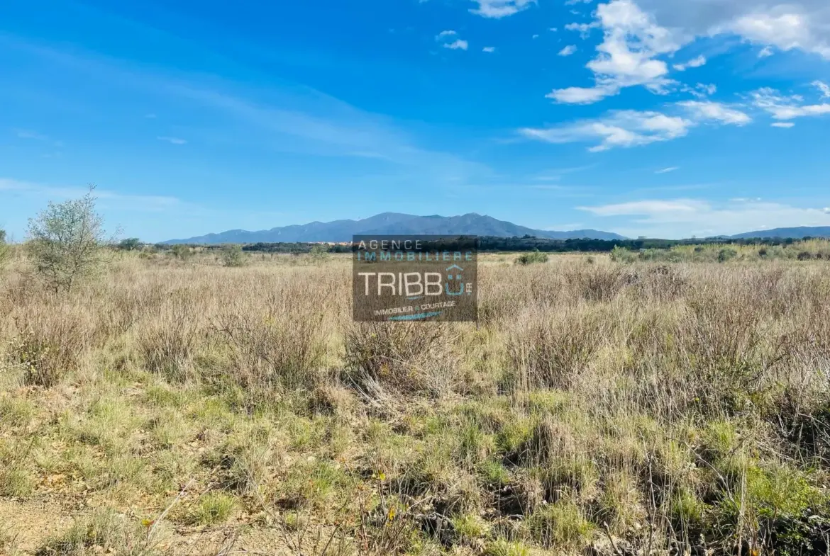 Terrain Agricole à Fourques - 7180 m² avec Vue Pyrénées 