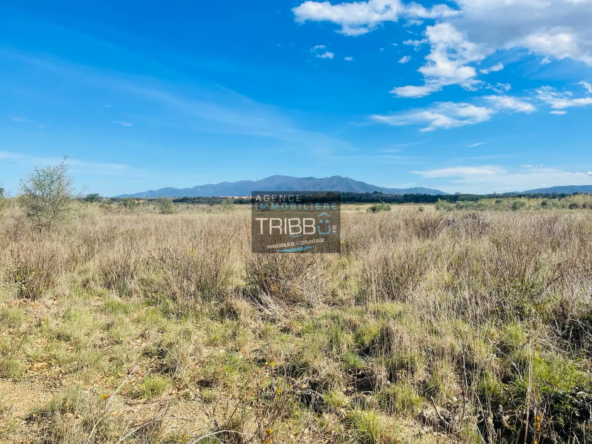 Terrain Agricole à Fourques - 7180 m² avec Vue Pyrénées