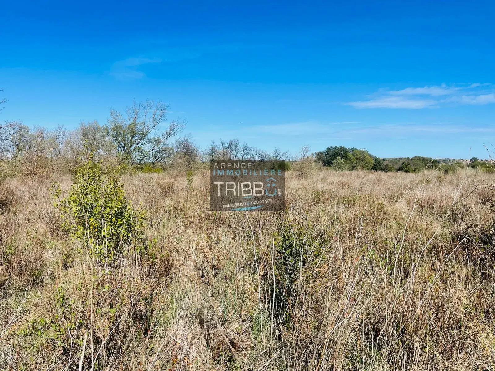 Terrain Agricole à Fourques - 7180 m² avec Vue Pyrénées 