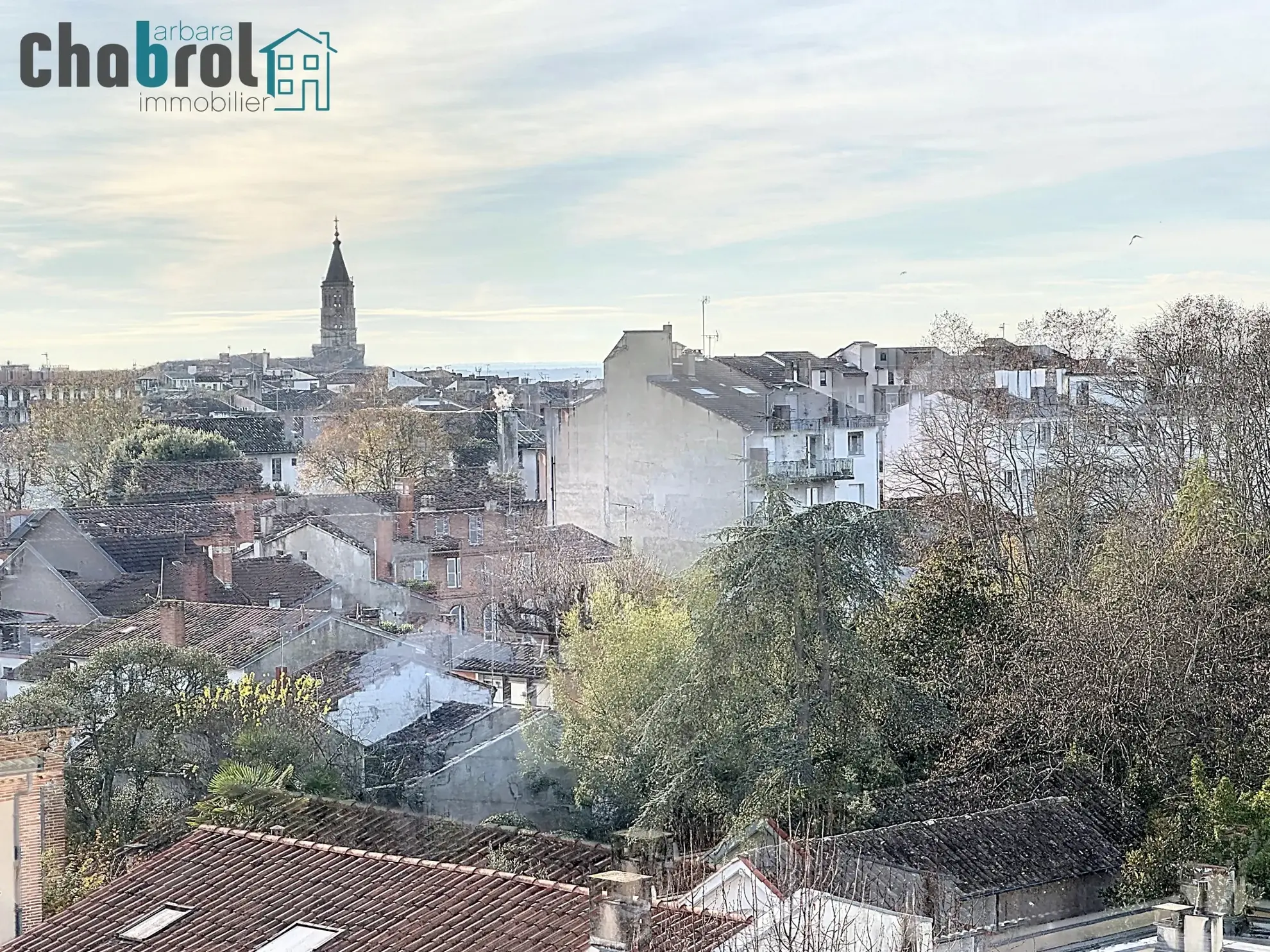 Appartement T3 à Montauban avec vue et balcons 