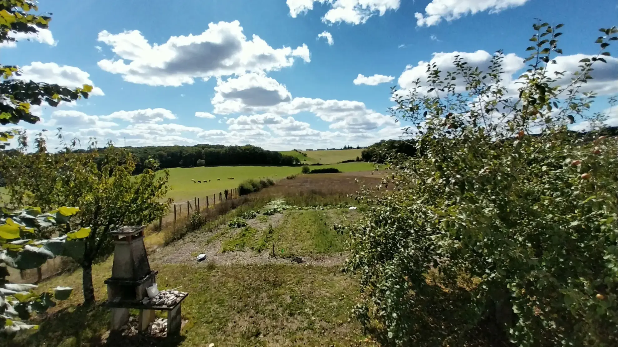 Maison de 3 chambres à Leguillac de l'Auche sur 8000m2 