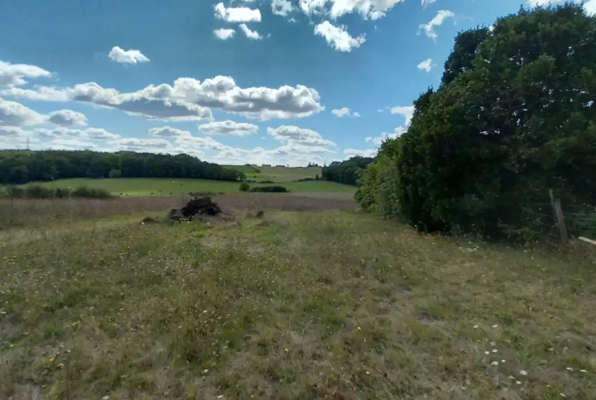 Maison de 3 chambres à Leguillac de l'Auche sur 8000m2 