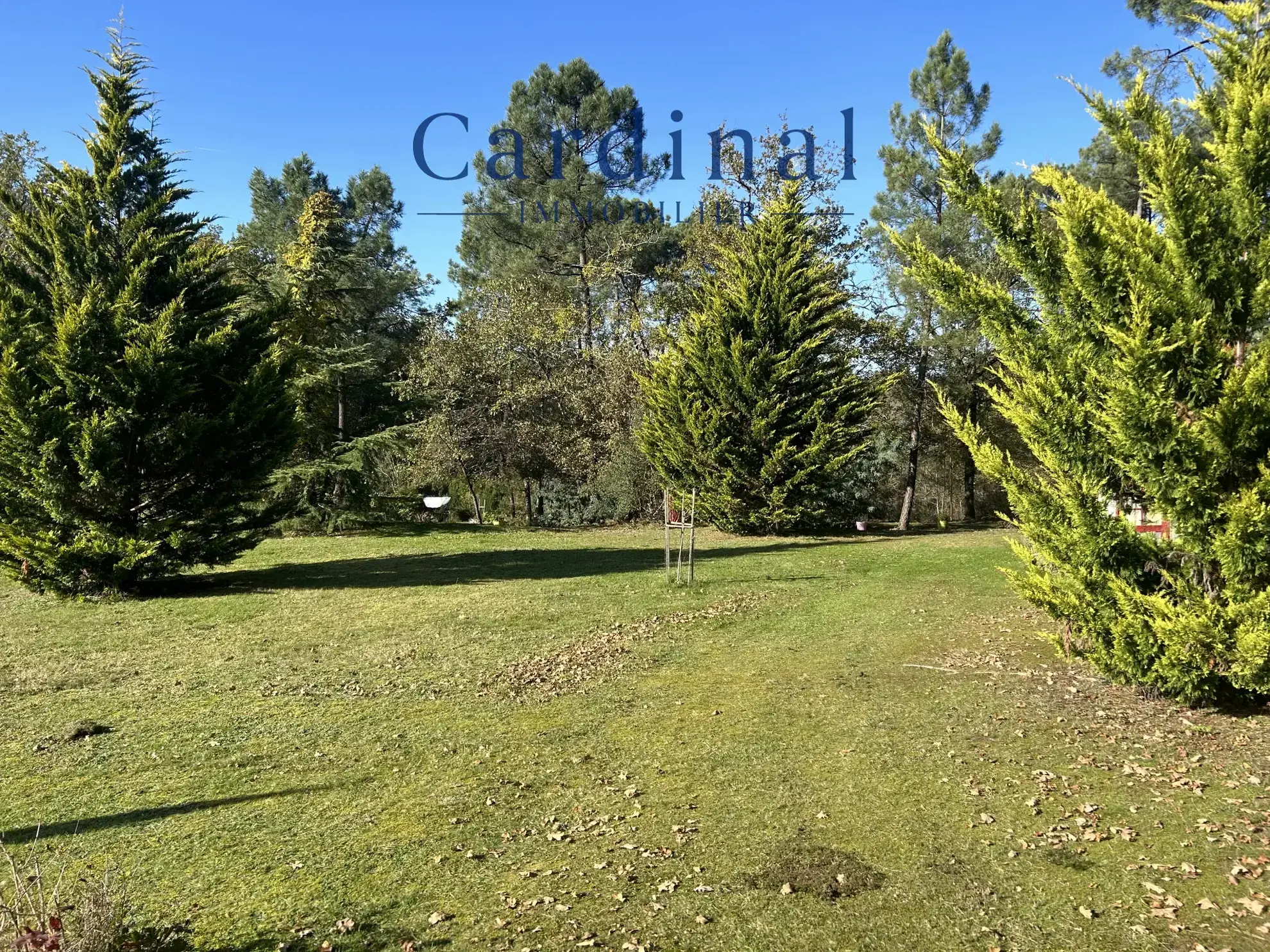 À saisir ! Maison de charme à Coursac, 110 m² sur parc de 3000 m² 