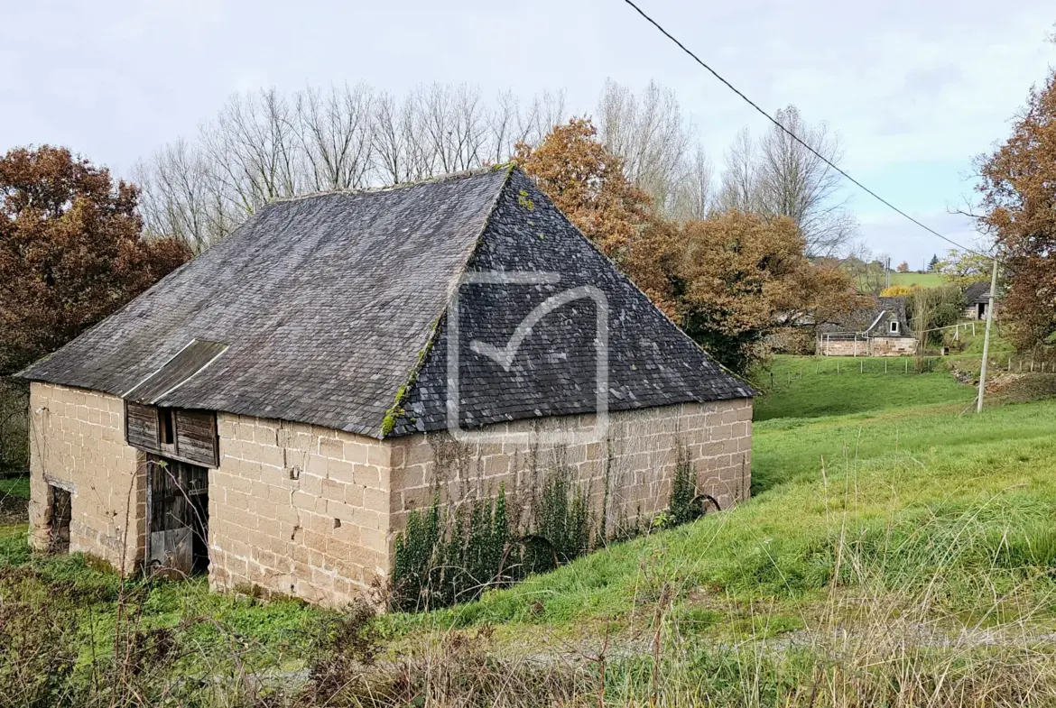 Vente d'un chai et d'une grange à Saint Cyr La Roche 