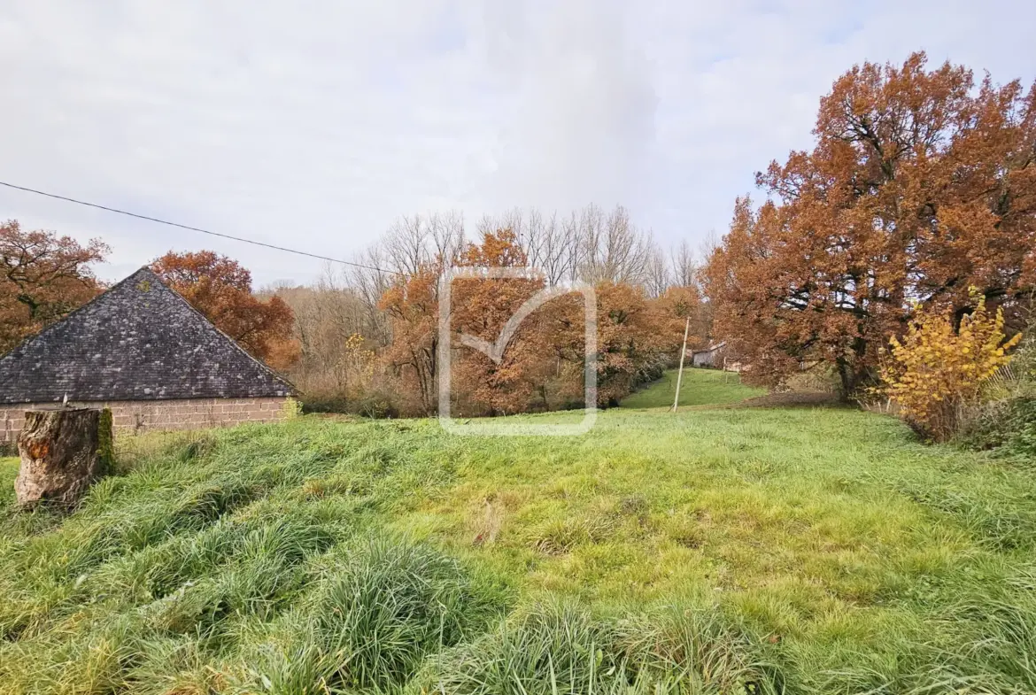 Vente d'un chai et d'une grange à Saint Cyr La Roche 