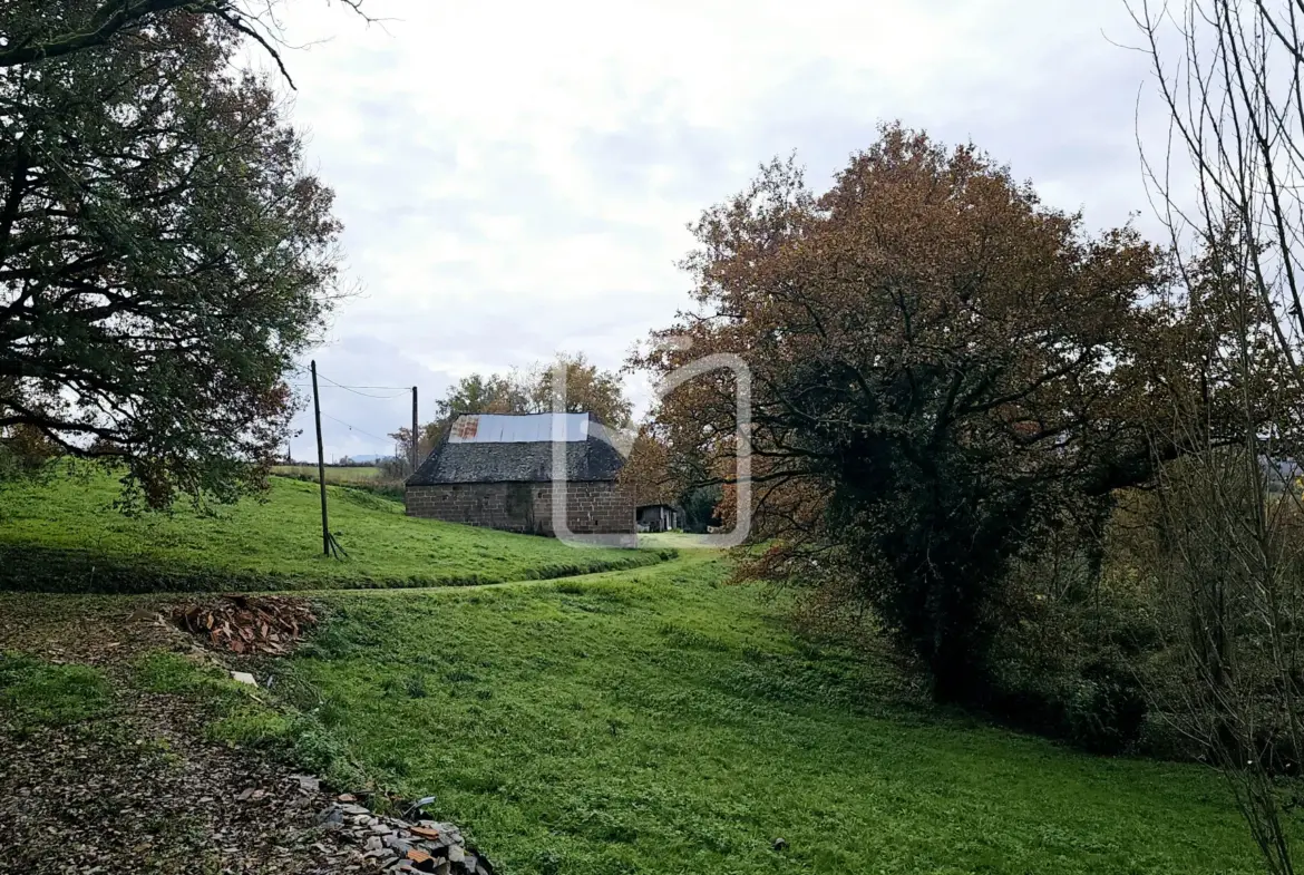 Vente d'un chai et d'une grange à Saint Cyr La Roche 