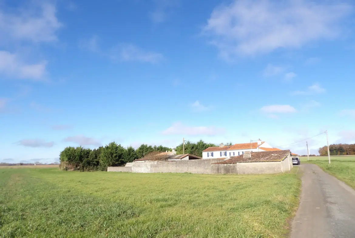 Maison 6 pièces principales à Saint Savinien avec jardin et dépendances 