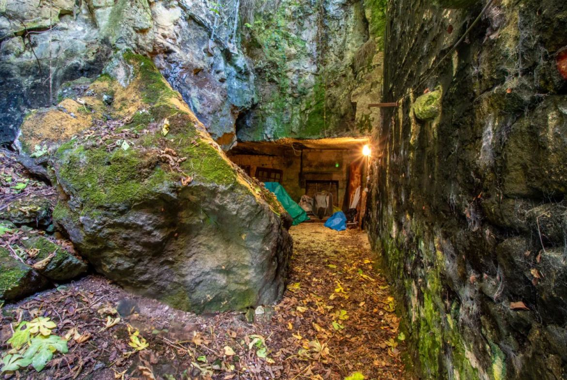 Maison ancienne de 85 m² à Saint-Savinien avec cour et grotte 