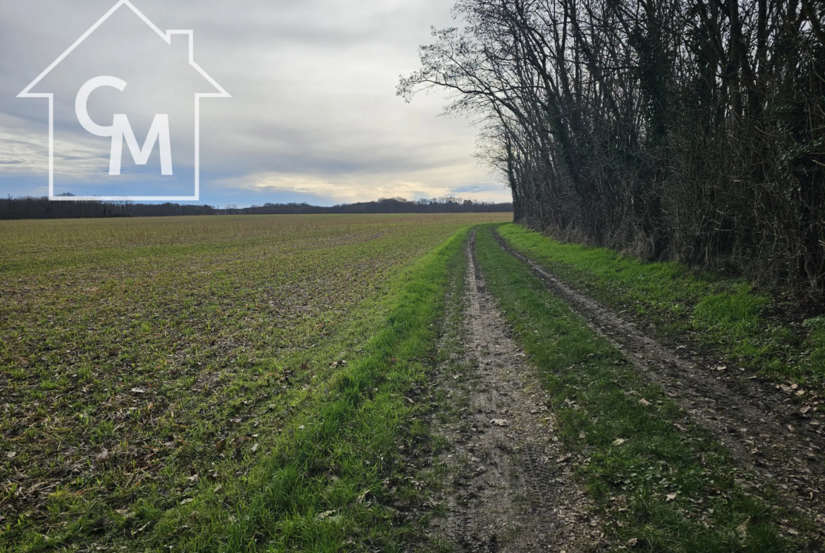 Terrain de loisirs avec chalet à rénover à Ferrières en Gatinais 