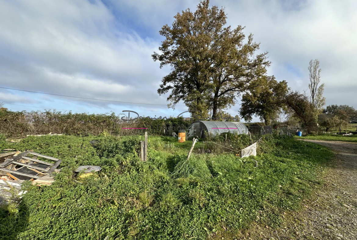 Maison avec dépendances à Perreux - 2980 m² 