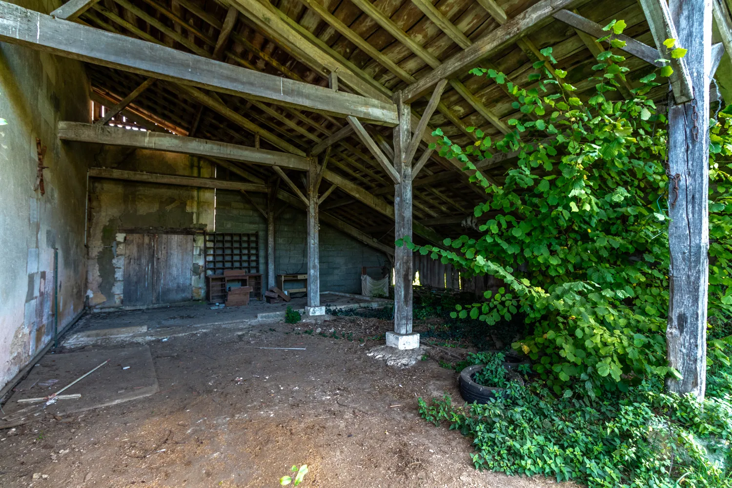 Maison charentaise avec 2 chambres et 4600 m² de terrain à Fontcouverte 