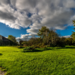 Maison charentaise avec 2 chambres et 4600 m² de terrain à Fontcouverte