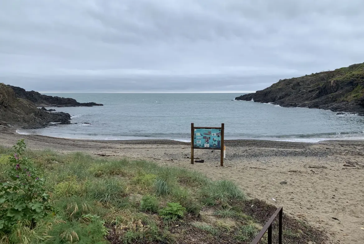 À vendre : appartement T1 bis à Collioure avec vue sur mer 