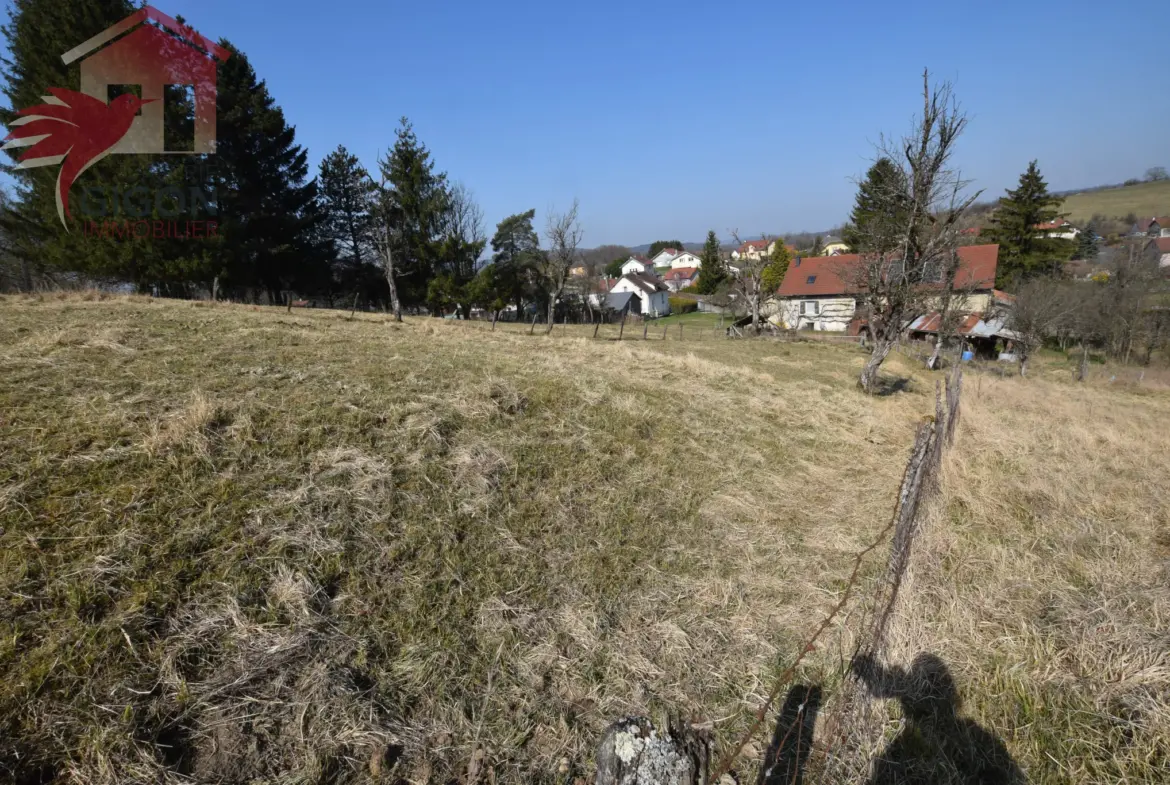 Superbe parcelle de terrain à bâtir de 7,03 ares à Étouvans 