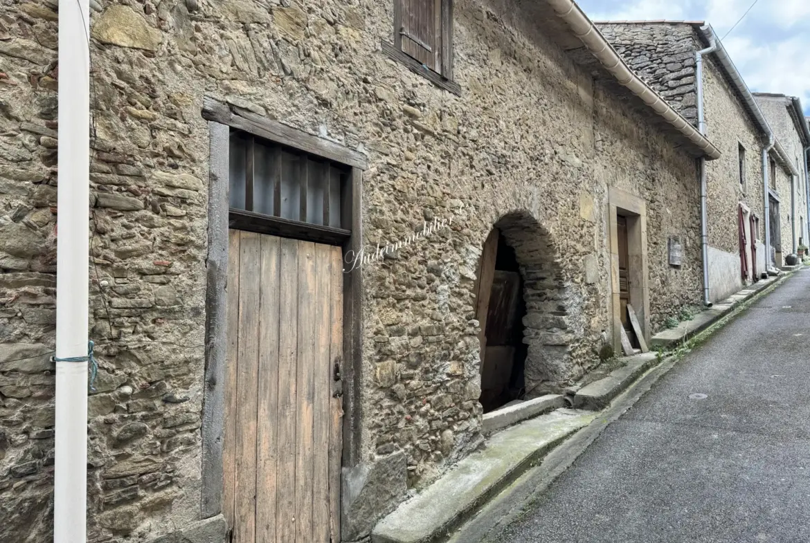 Maison de village avec jardin et étable à Mirepoix 