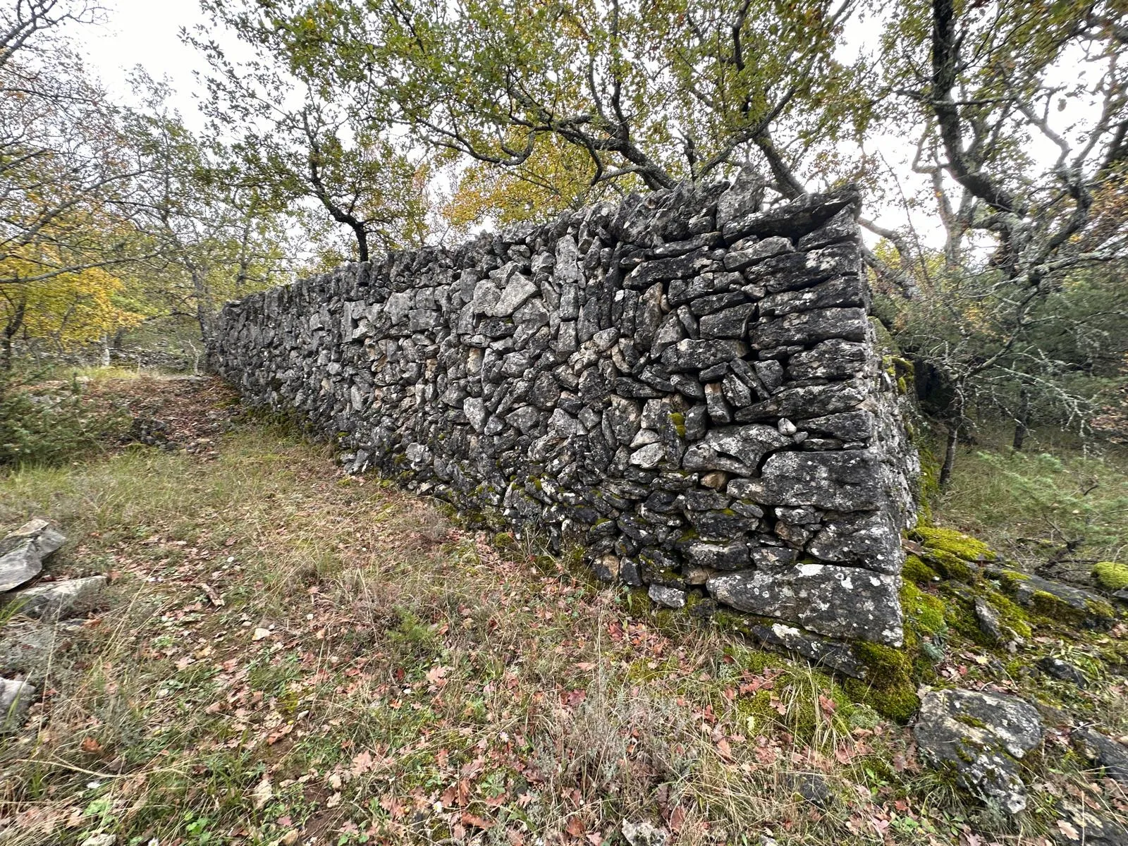 Terrain de loisir de 1543 m² avec bergerie en ruine à St Vallier de Thiey 