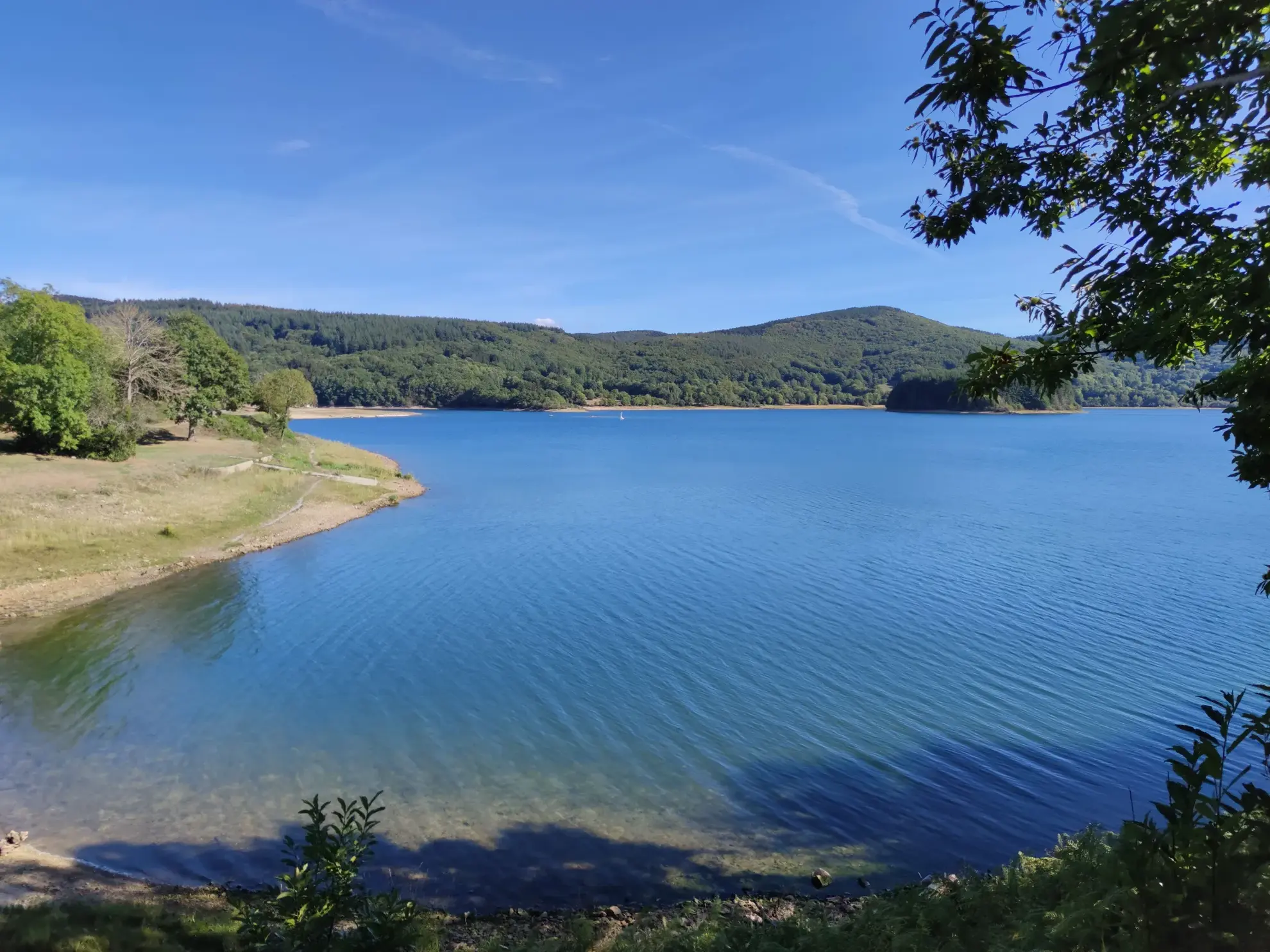 Terrain Constructible à La Salvetat-sur-Agout 