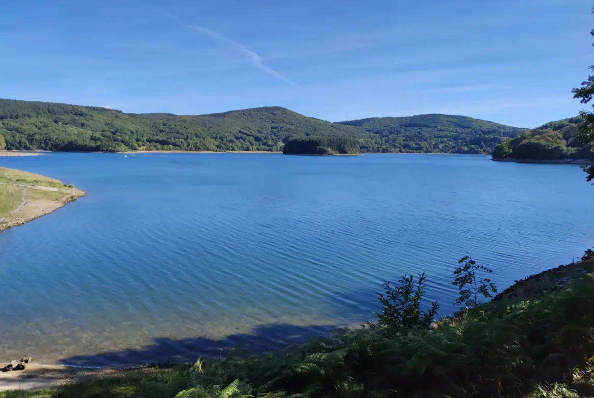 Terrain Constructible à La Salvetat-sur-Agout 