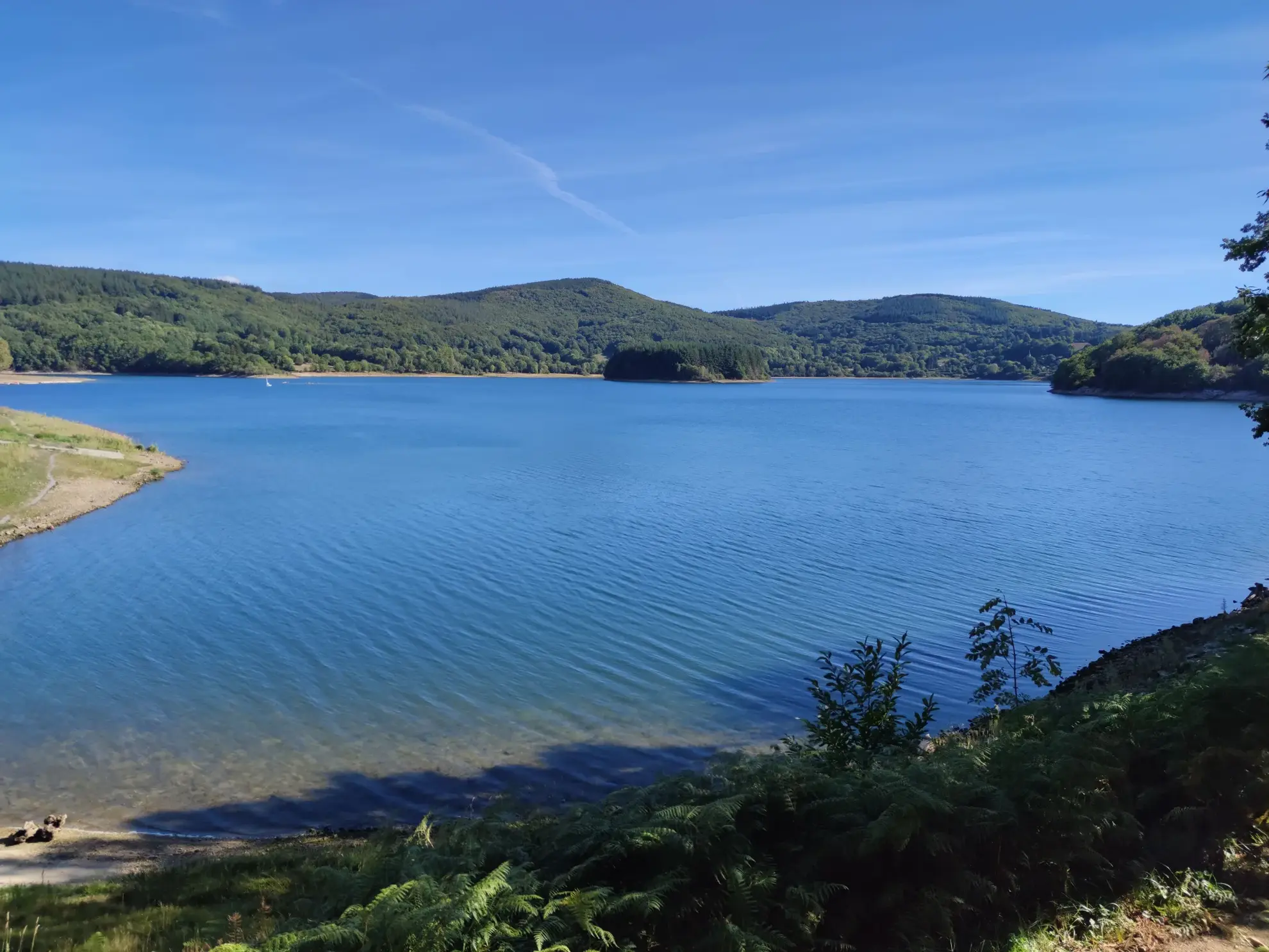 Terrain Constructible à La Salvetat-sur-Agout 