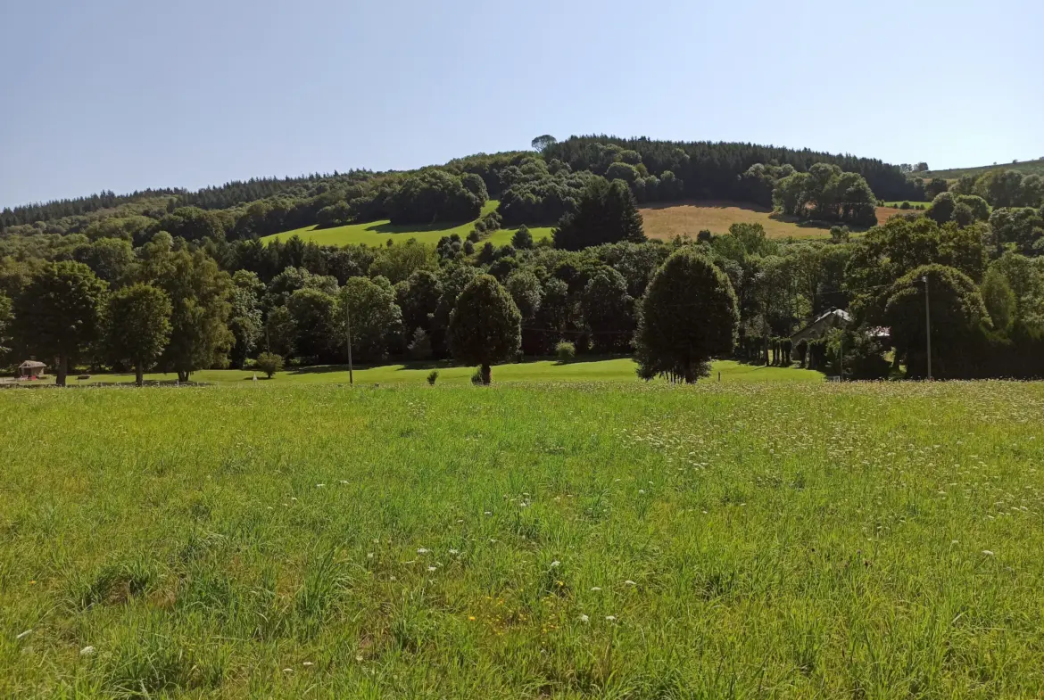 Terrain Constructible à La Salvetat-sur-Agout 