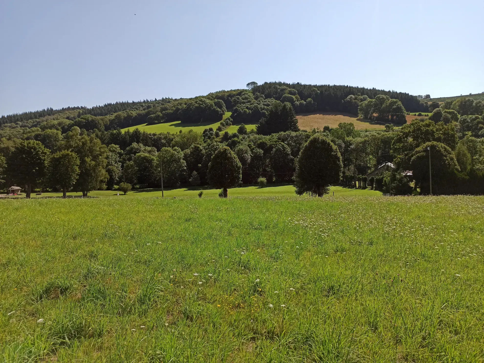 Terrain Constructible à La Salvetat-sur-Agout 