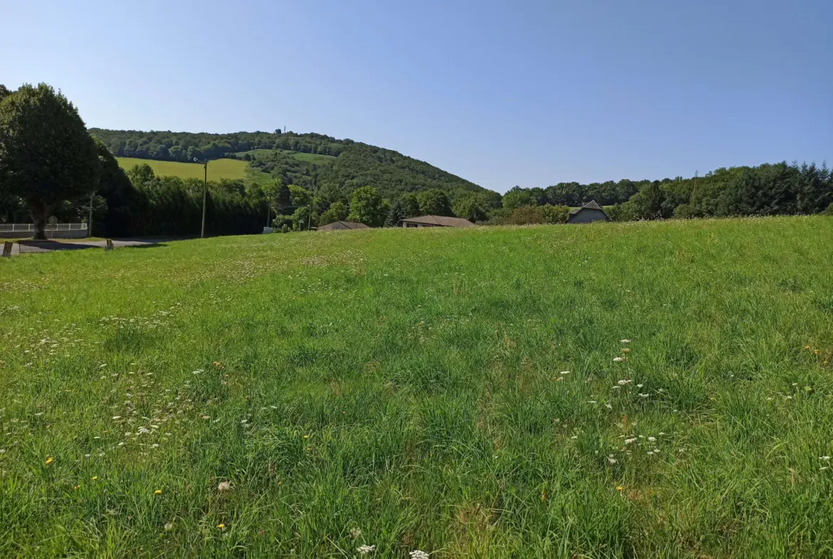 Terrain Constructible à La Salvetat-sur-Agout 