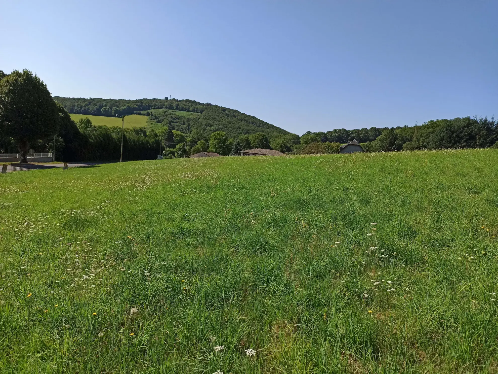 Terrain Constructible à La Salvetat-sur-Agout 