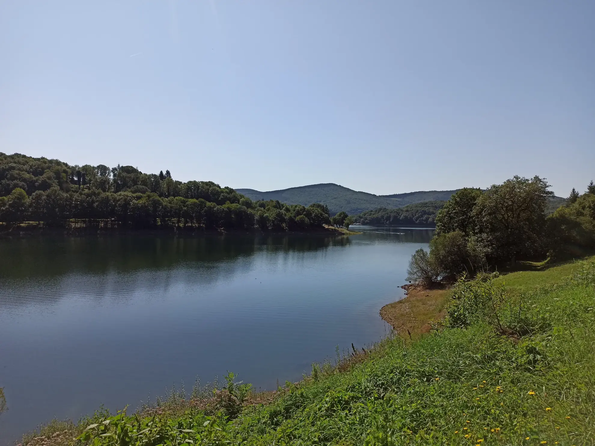 Terrain Constructible à La Salvetat-sur-Agout 