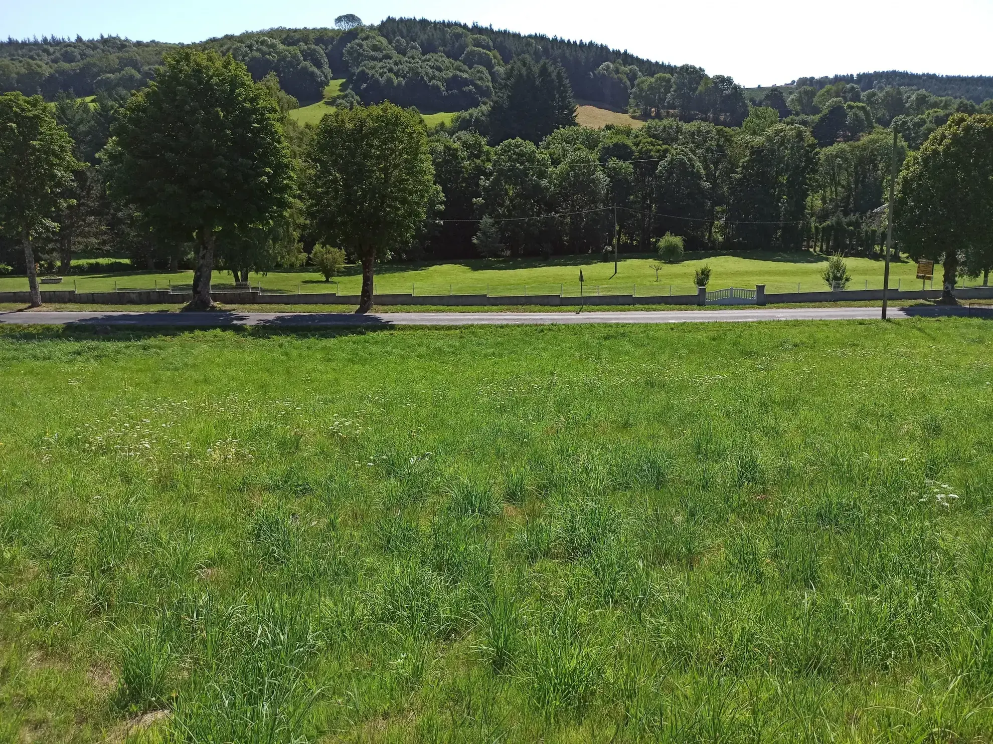 Terrain Constructible à La Salvetat-sur-Agout 