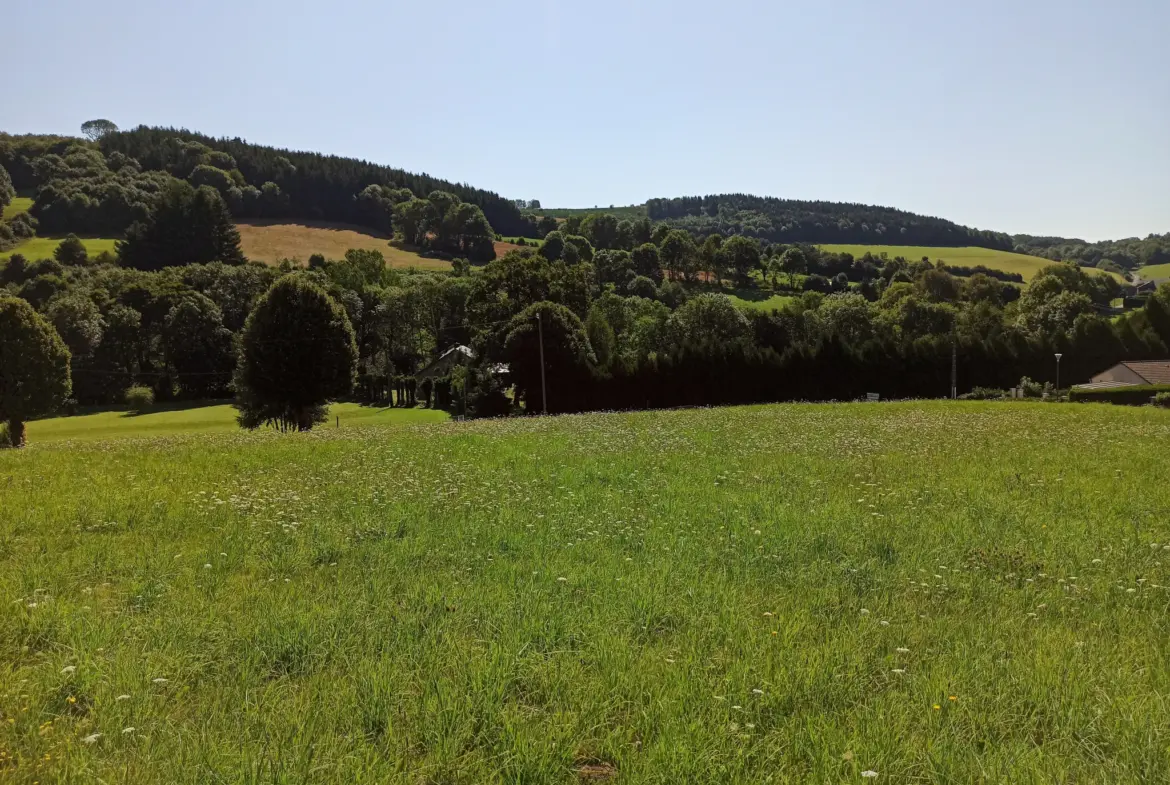 Terrain Constructible à La Salvetat-sur-Agout 