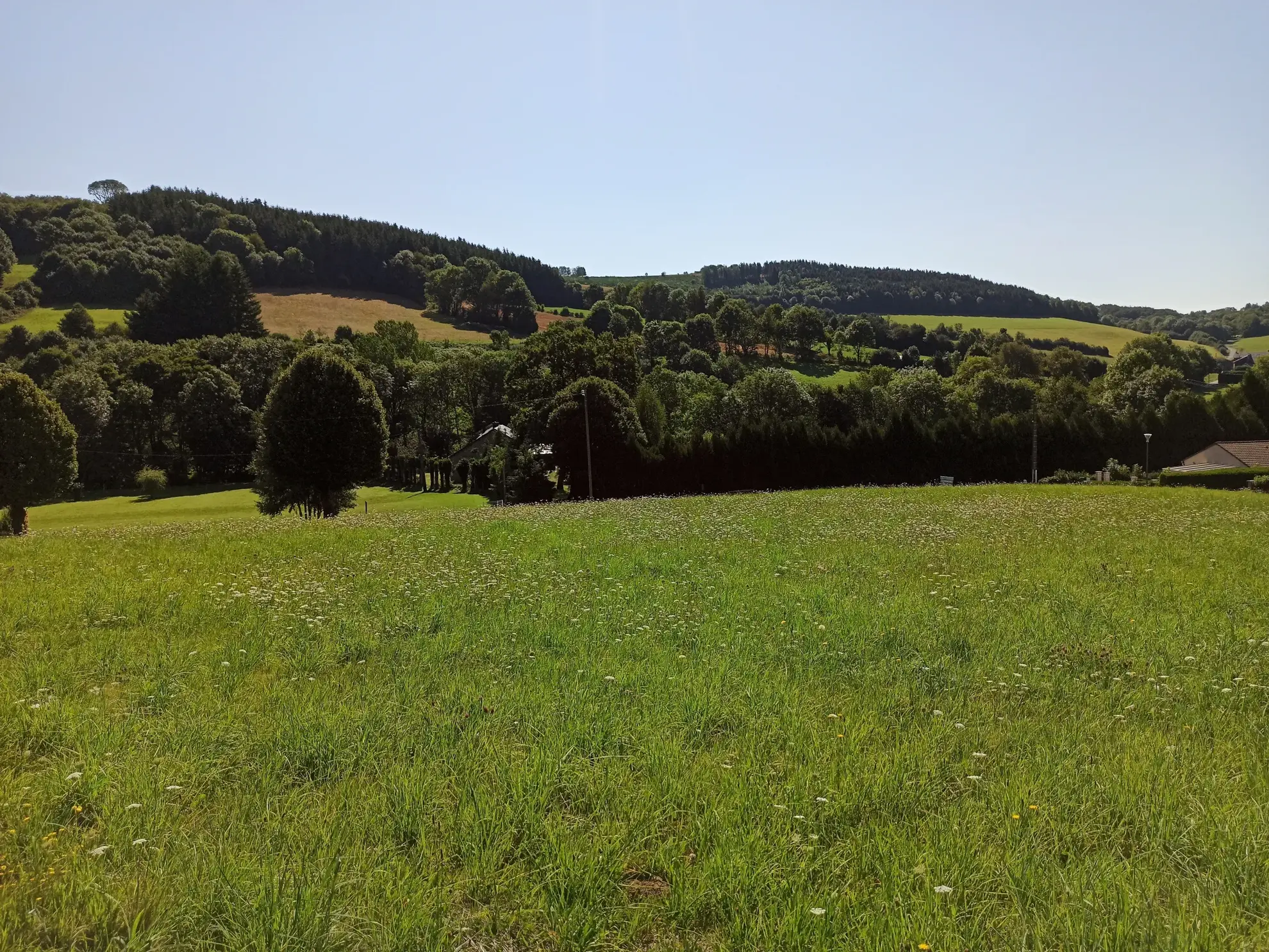 Terrain Constructible à La Salvetat-sur-Agout 