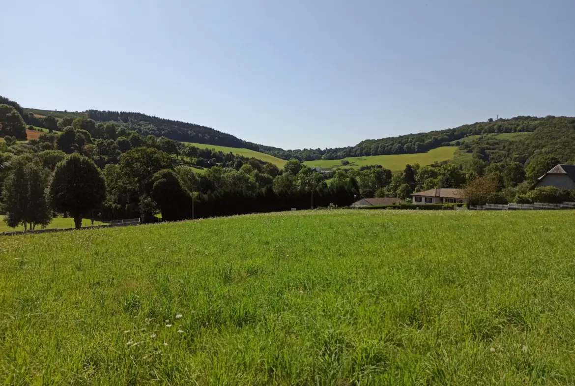 Terrain Constructible à La Salvetat-sur-Agout 