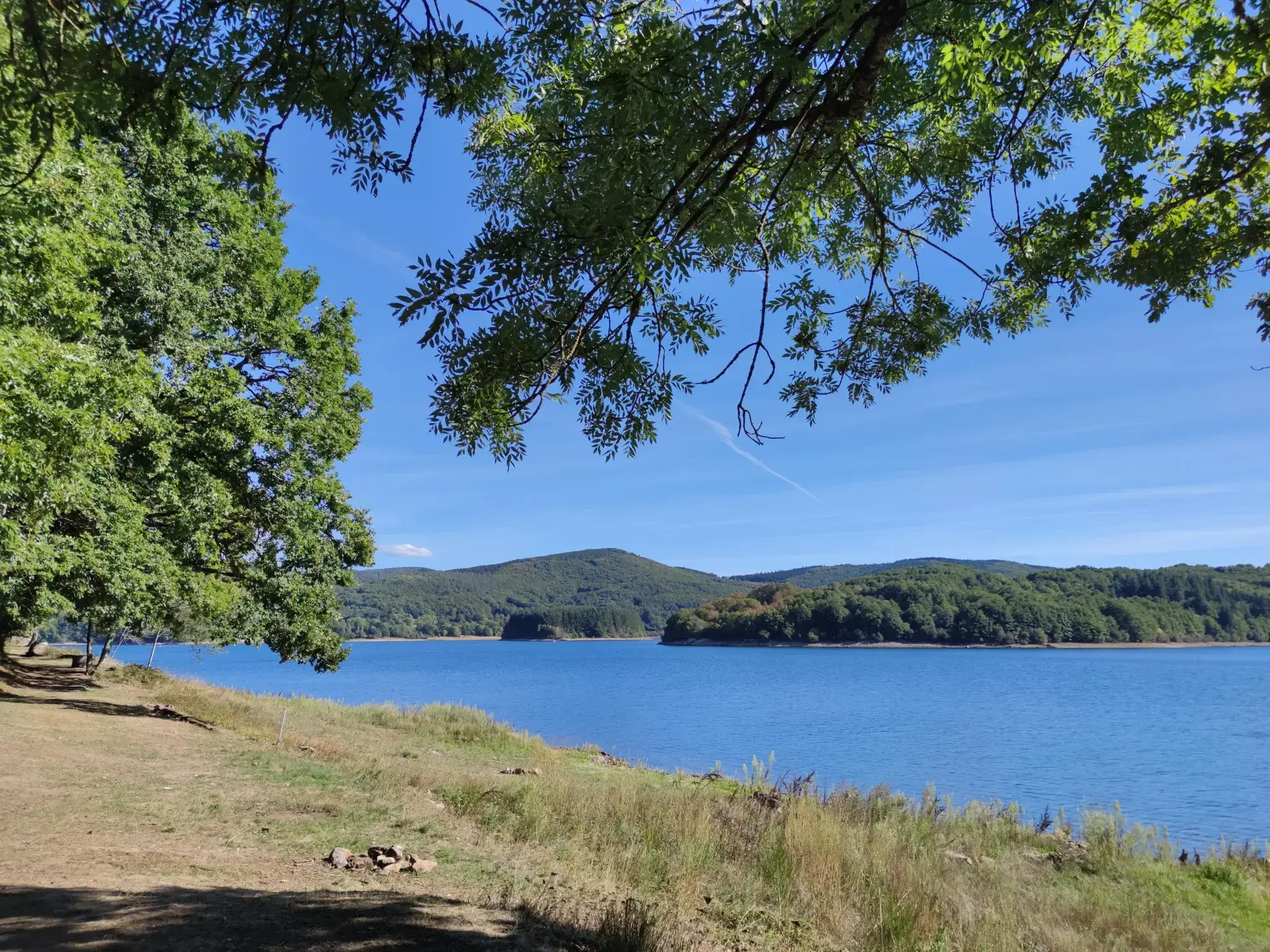 Terrain Constructible à La Salvetat-sur-Agout 