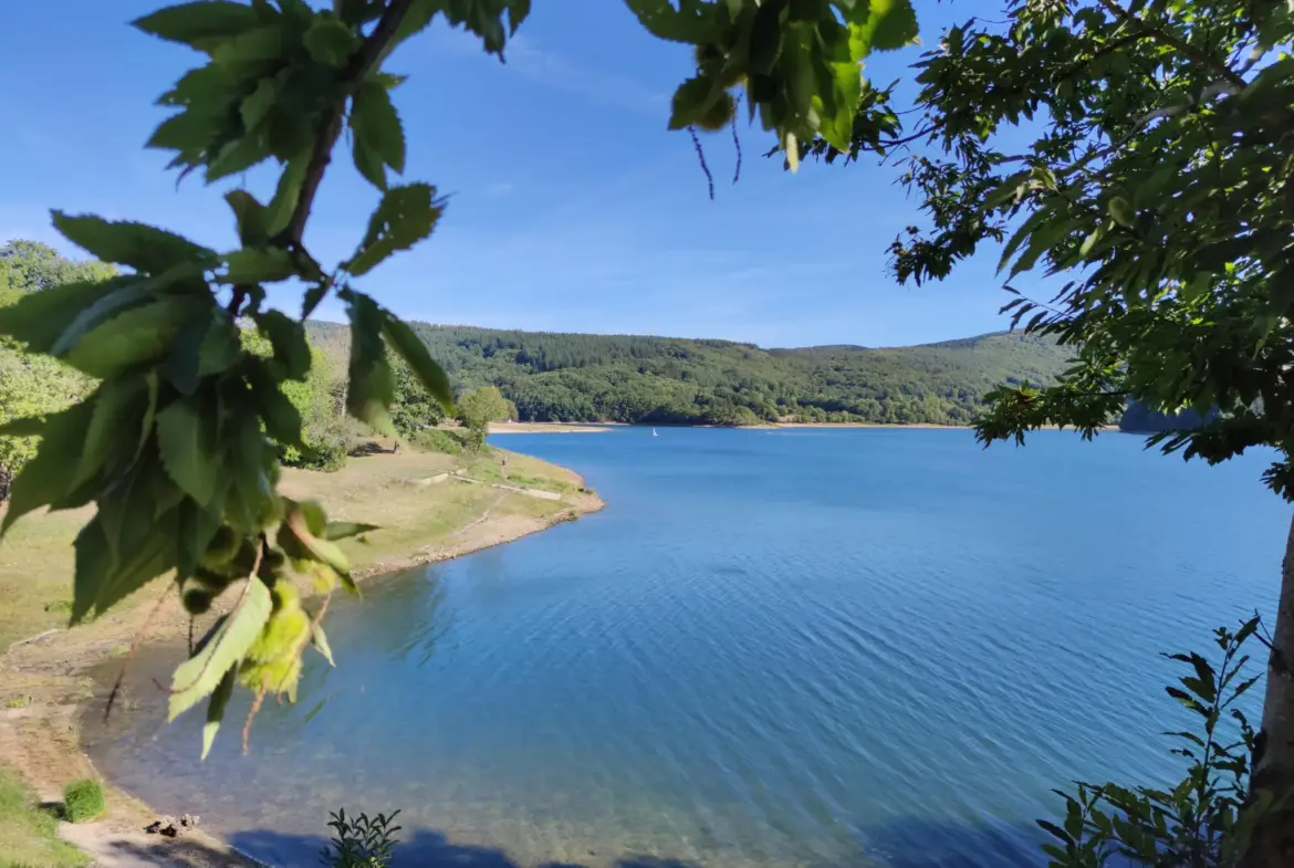 Terrain Constructible à La Salvetat-sur-Agout 