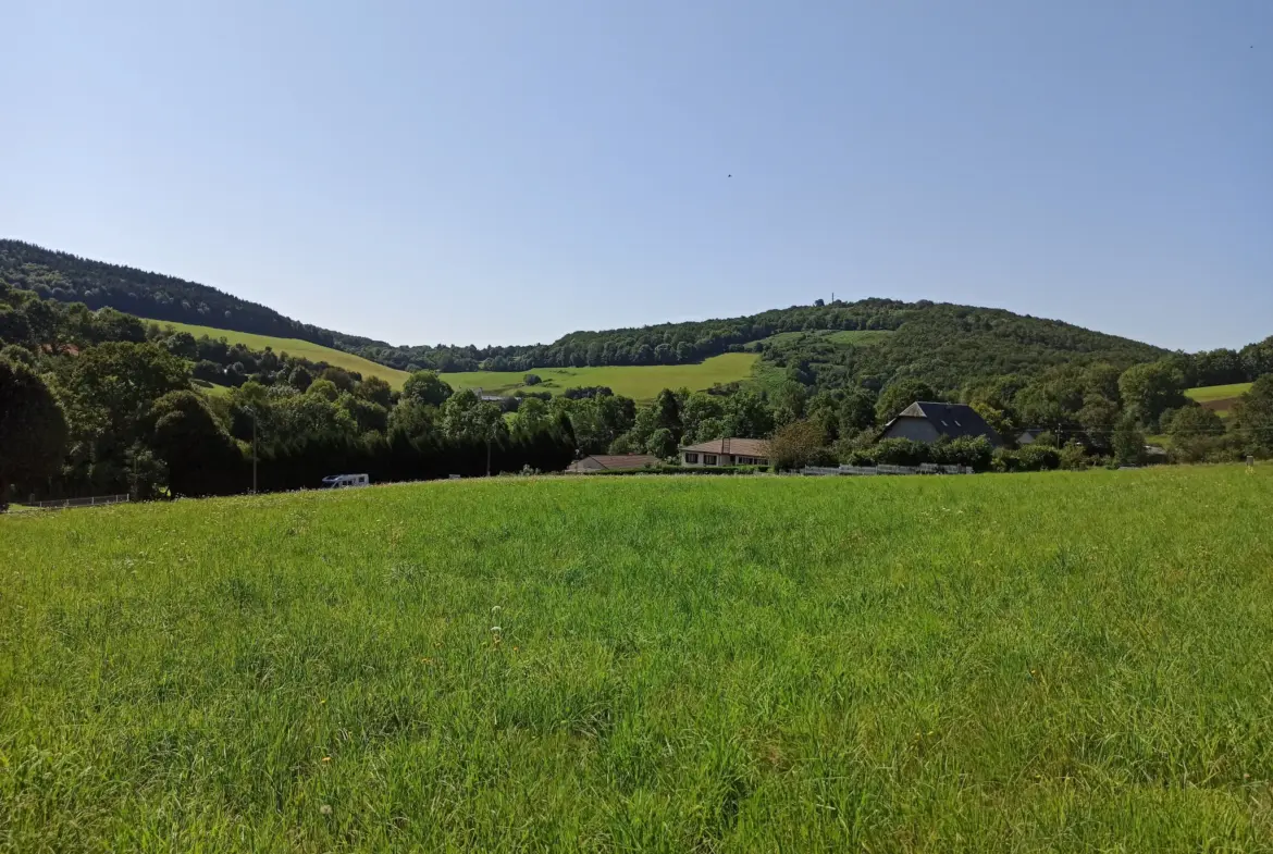 Terrain Constructible à La Salvetat-sur-Agout 