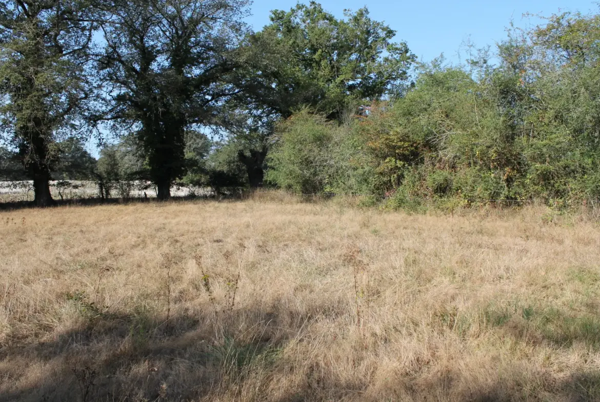 Fermette à Louroux Bourbonnais sur 2.2 hectares avec grange 