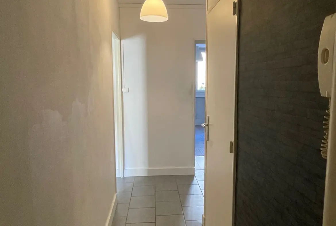 Appartement F3 avec balcon et cave à Saint-Étienne 