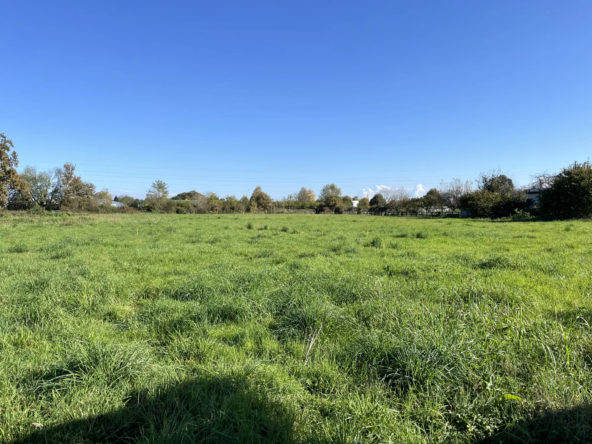 Terrain constructible à Bordères-Sur-L'Échez à vendre