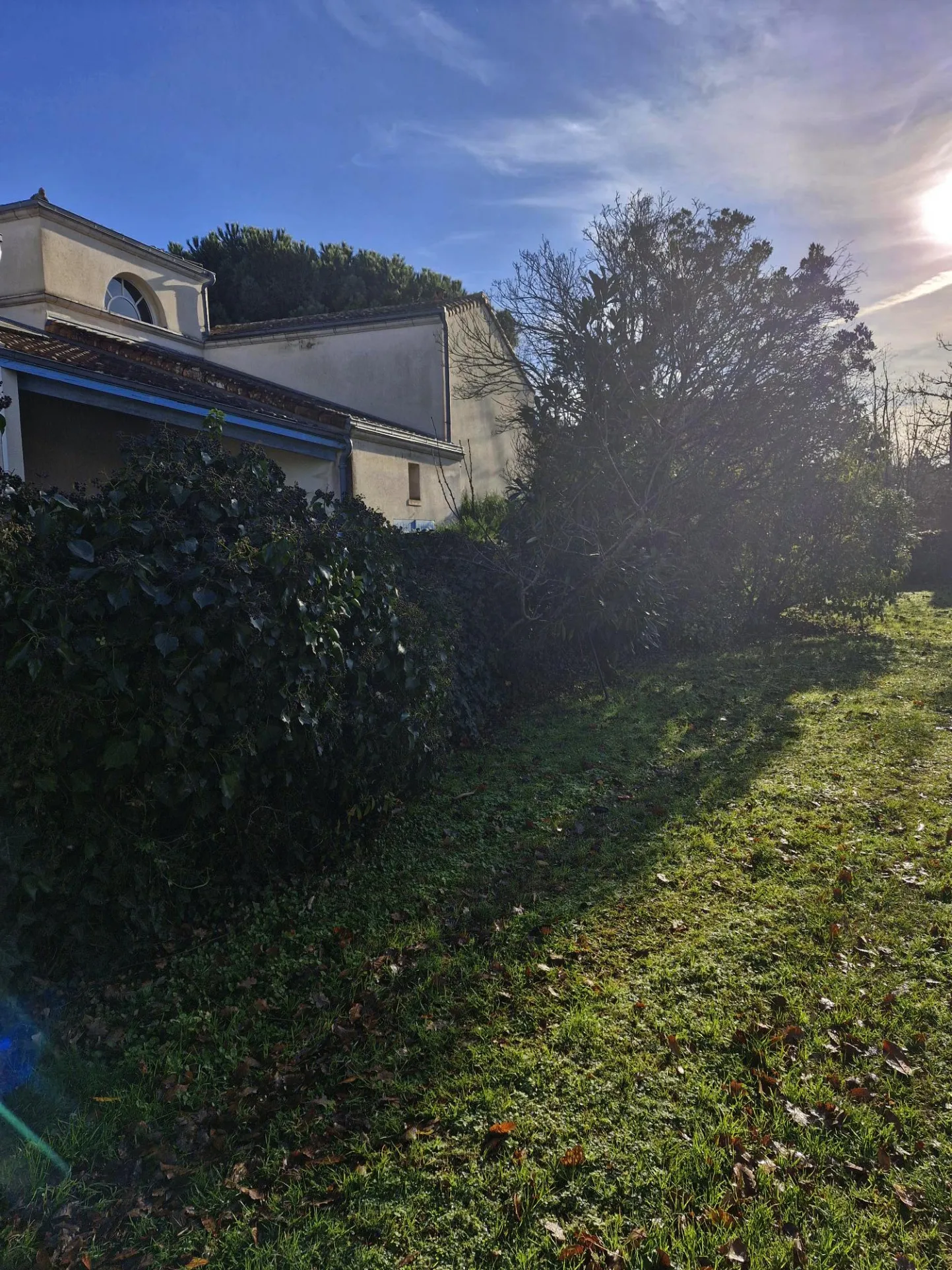 Appartement 3 pièces avec jardin à Meschers sur Gironde 