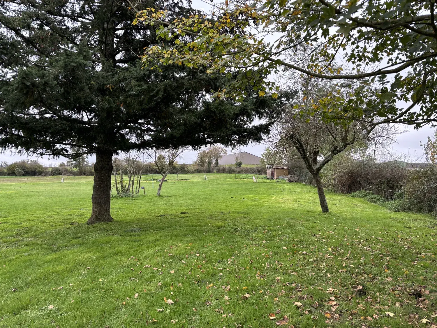 Maison à vendre à Rocles avec 1,65 hectares de terrain 