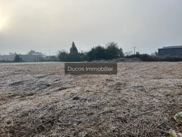 Vente terrain commercial à Marmande de 2644 m²