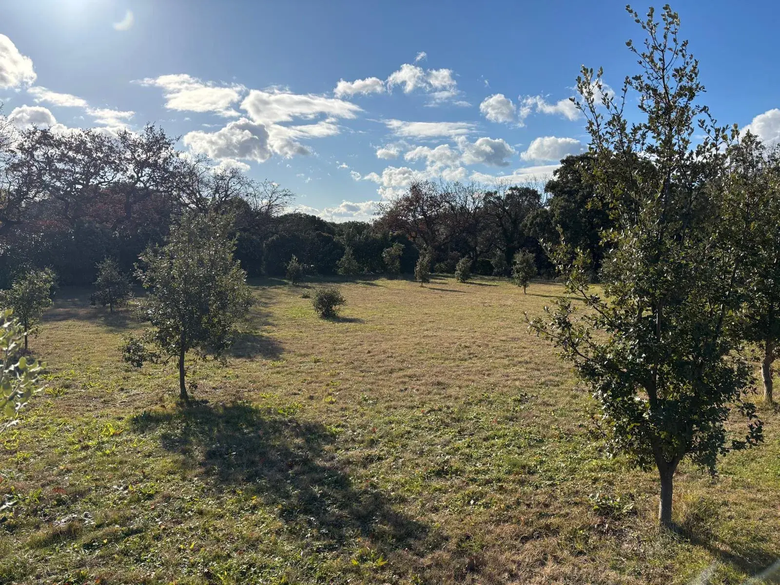 Terrain à bâtir de 1308 m² à Grignan - Offre acceptée 