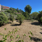 Rare Terrain à Bâtir de 608 m² à CANNES LA BOCCA