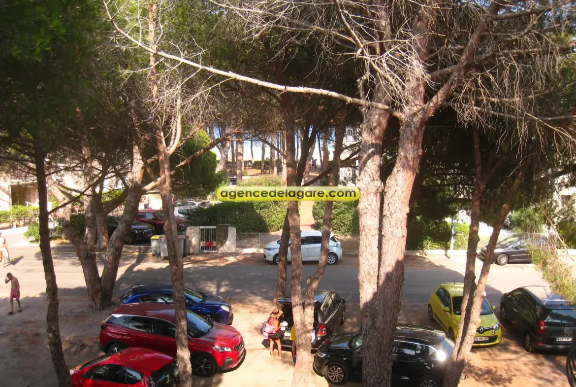 Appartement T2 à 50m de la plage à Argelès Plage 