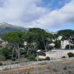 Appartement T2 à Toulon - Idéal Investissement Locatif