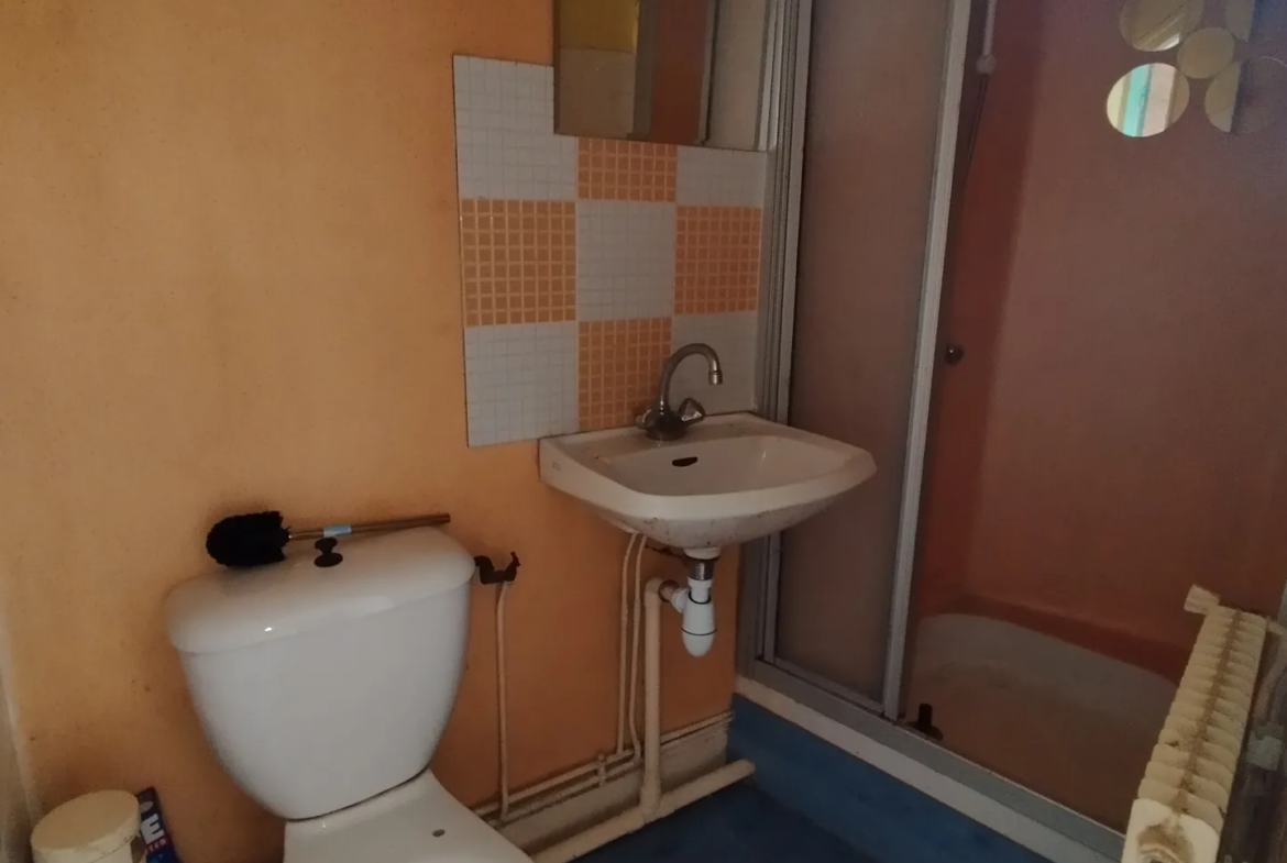 À vendre : Immeuble à Thiers avec 5 appartements et garage 